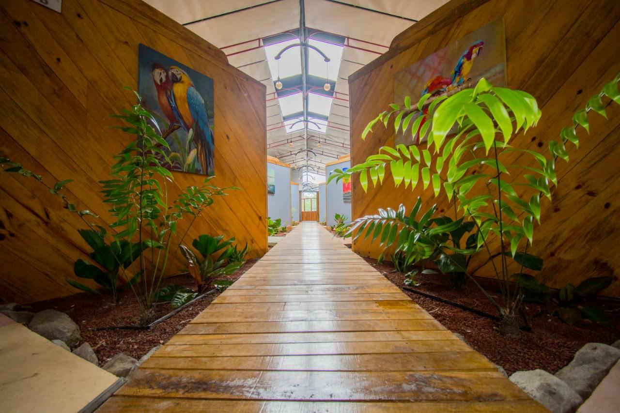 Hotel Hacienda Don Paolo San Vito المظهر الخارجي الصورة